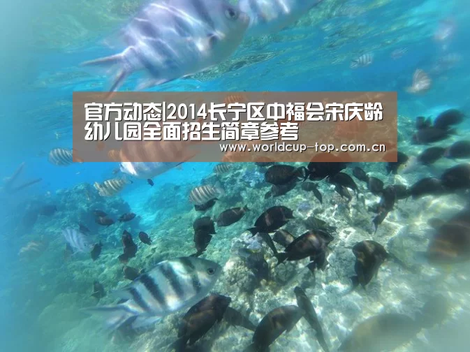 世界杯中文网