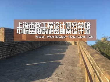 上海市政工程设计研究总院中标岳阳奇康路勘察设计项目|举办城市