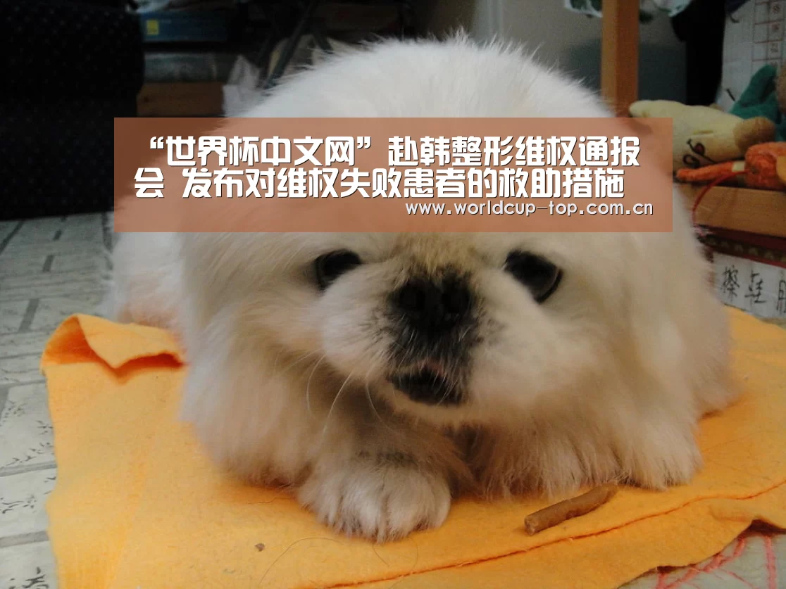 世界杯中文网