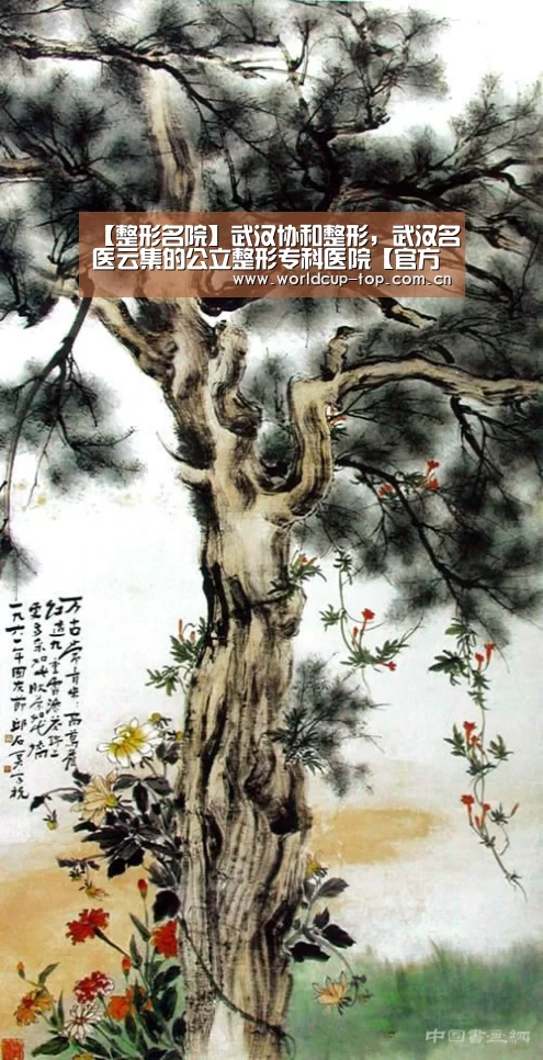 【整形名院】武汉协和整形，武汉名医云集的公立整形专科医院【官