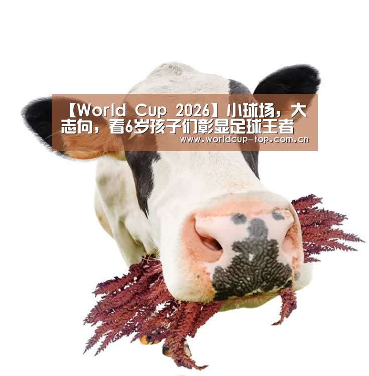 【World Cup 2026】小球场，大志向，看6岁孩子们