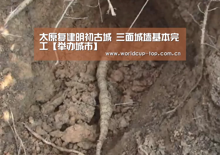 官方动态