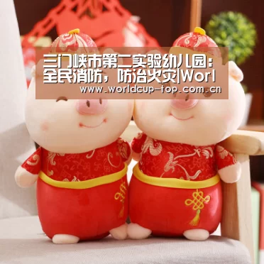 三门峡市第二实验幼儿园：全民消防，防治火灾|World Cu
