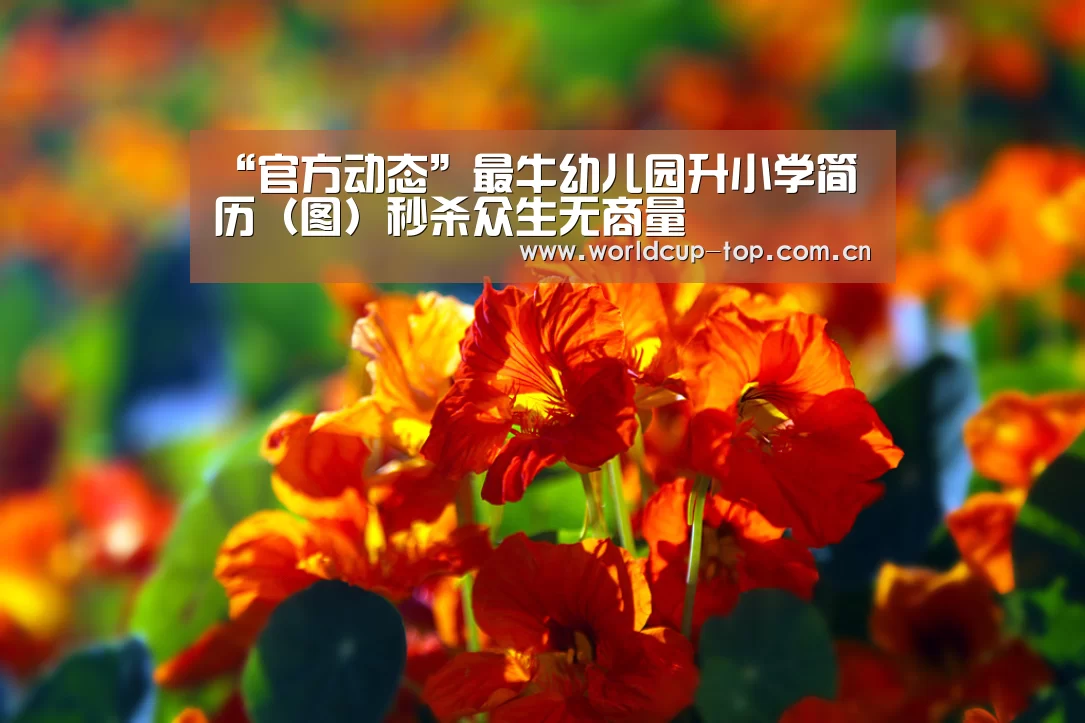 官方动态
