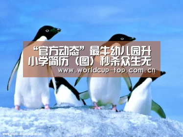 “官方动态”最牛幼儿园升小学简历（图）秒杀众生无商量