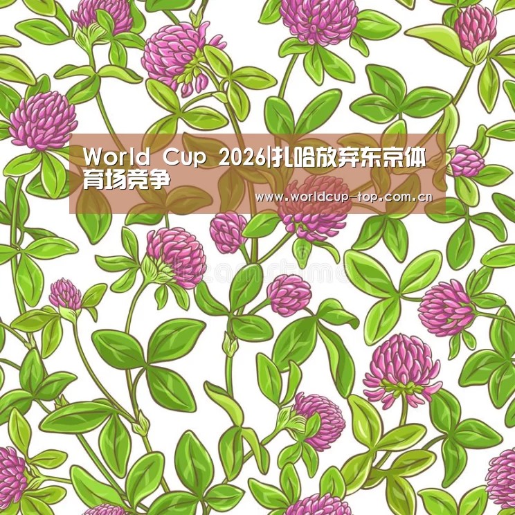 World Cup 2026|扎哈放弃东京体育场竞争