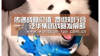 传递战略价值 贯彻知行合一--泛华集团战略发展部深入分支机构开展战略宣贯-官方动态(图2) 世界杯中文网