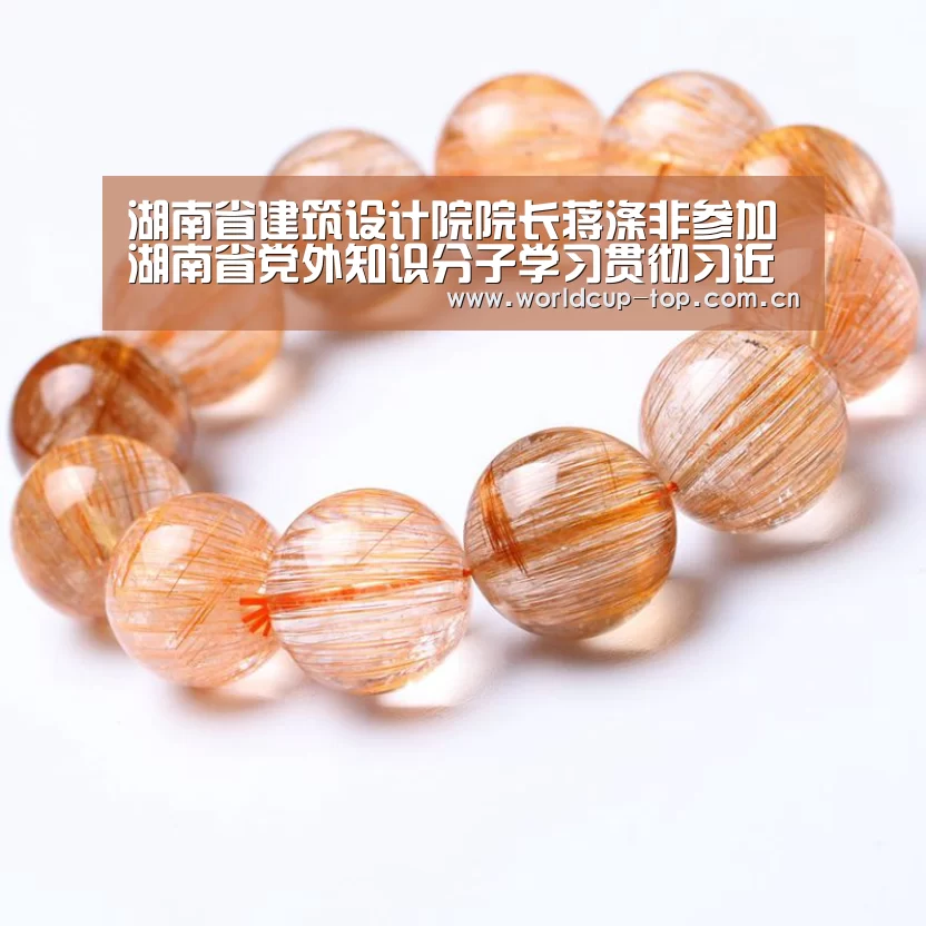 湖南省建筑设计院院长蒋涤非参加湖南省党外知识分子学习贯彻习近