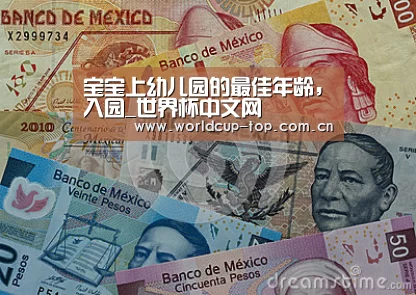 宝宝上幼儿园的最佳年龄,入园_世界杯中文网(图1) 举办城市